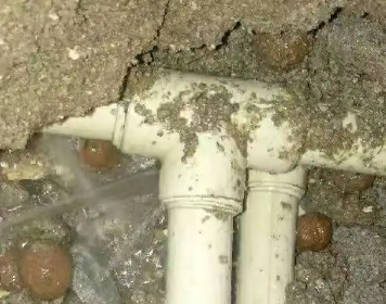 盐亭测漏水多少钱