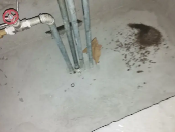 盐亭卫生间测漏水价格明细